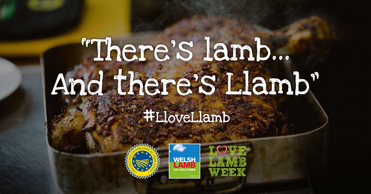 WalesYFC's tweet photo. We are celebrating the start of #LoveLambWeek today! Will you be eating your favourite Welsh lamb dish this weekend? @LoveLambWeek #LoveLamb https://t.co/jQQhcgJKtE