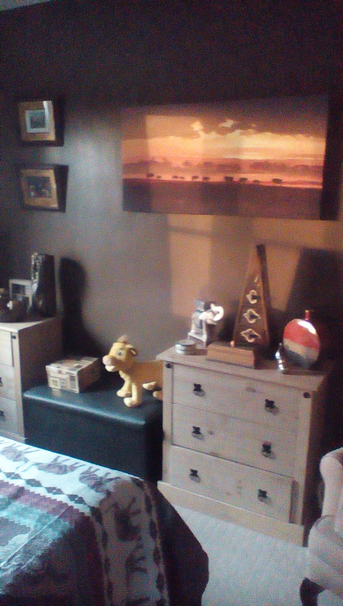 2423suzieq's tweet photo. @PeasandCarrots3 Thanks Carmen, hope its a good day for you both. Hope you like our AK themed bedroom #missingWDW https://t.co/S3S74LKNQd