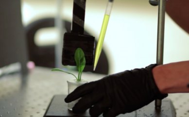 Futuresplatform's tweet image. Cyborg plants with superpowers. The #future or just #scifi ? Check out our latest article at #futureproofblog! bit.ly/2eKCqp3