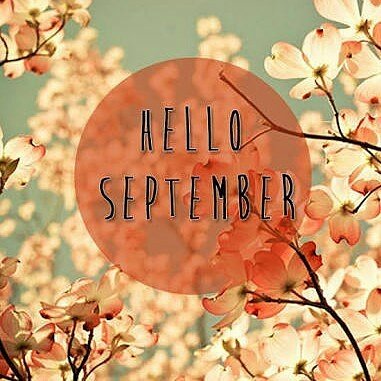 Wavecrest College tweet media