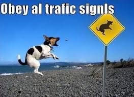 Stocksigns's tweet photo. Always obey traffic signs! https://t.co/uolFLRb5Vd #trafficsignage #signage #healthandsafety https://t.co/oQrybOamGM
