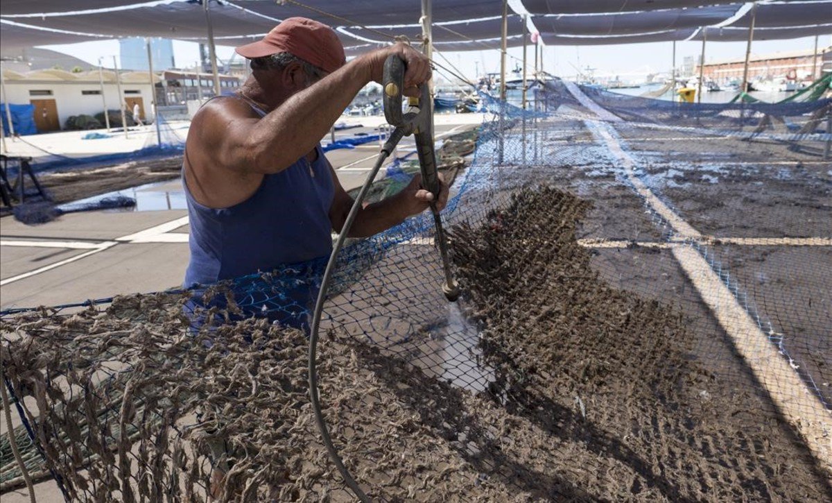 Euroservhi's tweet photo. Un verdadero problema ambiental https://t.co/hWcEdcjUg3☹️
 "Pescar #compresas en el mar"
 Solución: https://t.co/5OKnpkLq6U
#higiene https://t.co/fivF2SAi6g
