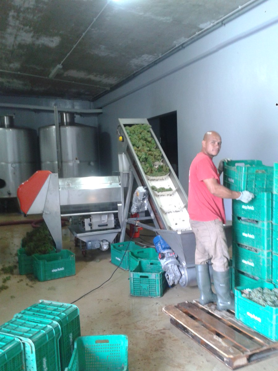 Bodega Roandi tweet media