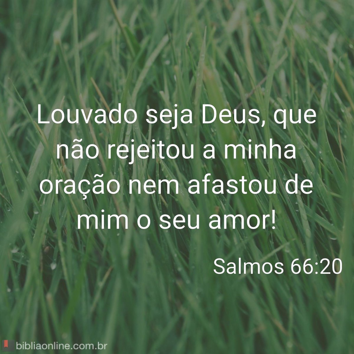 bibliaonline's tweet photo. https://t.co/WWgXezu2wC
