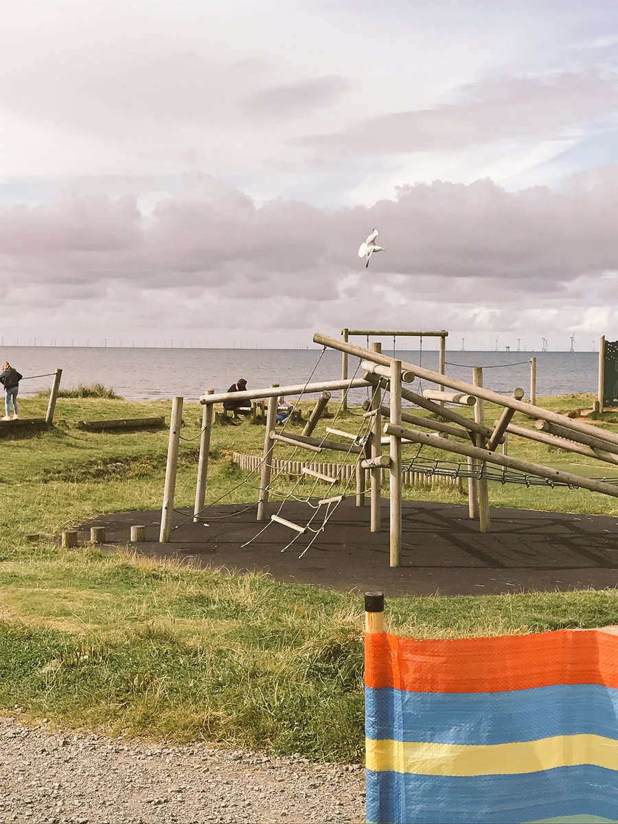 InspiraLiamC's tweet photo. When you get the job of guarding the rubbish and the seagulls start circling you #NCSCumbria https://t.co/BHcWafgdy7