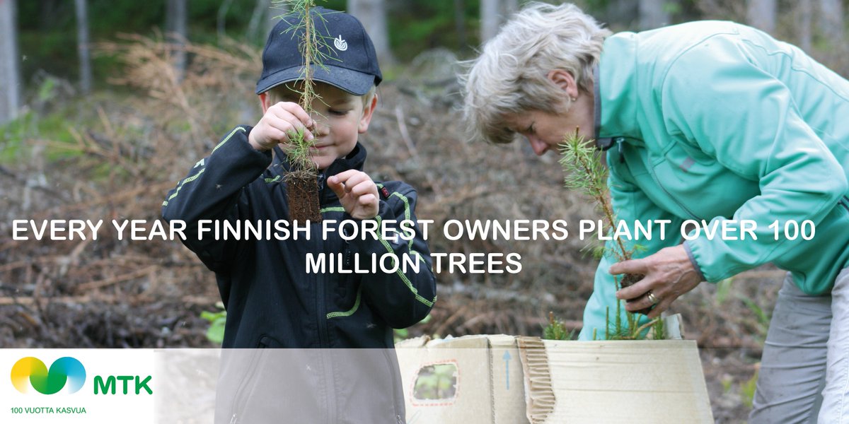 Antsahi's tweet photo. This is what Finnish family forest owners do every year. https://t.co/Kk2LiCozXG