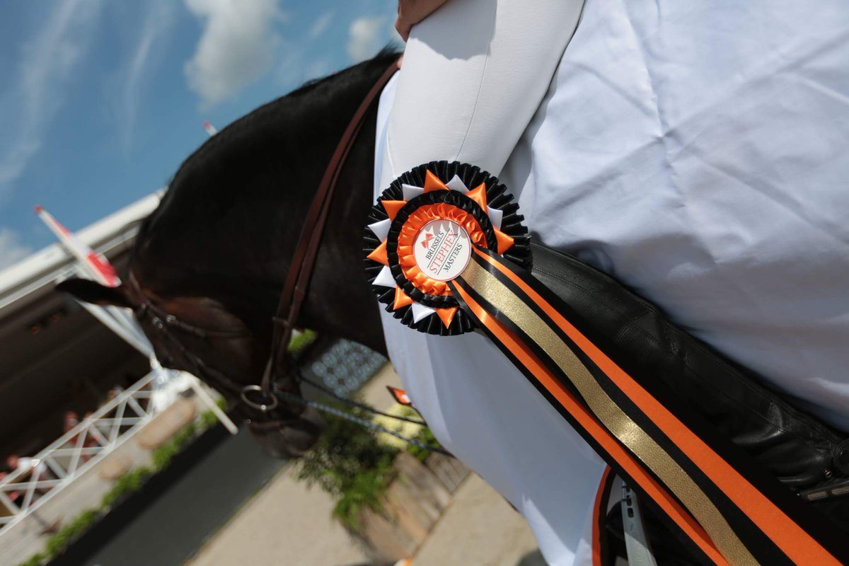 VP Equestrian Center tweet media