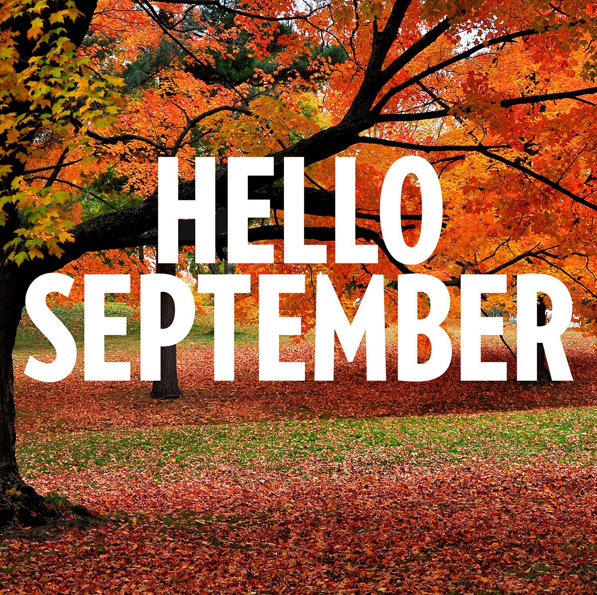 people's tweet image. Happy September!