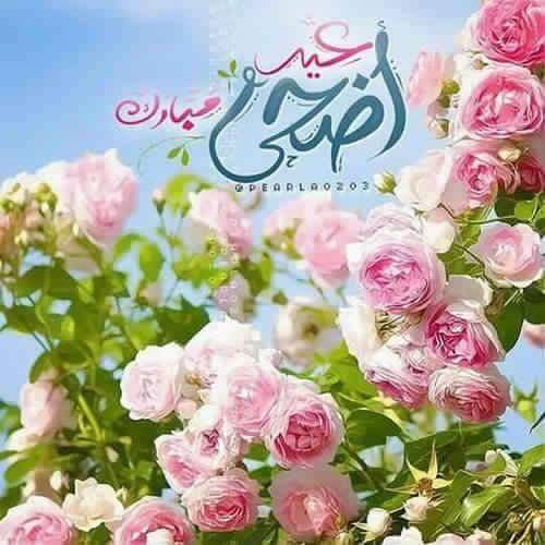 djame38's tweet photo. @samahe73 صباح الخير غزلان واش راكي لباس عيدكم مبارك وكل عام نتي وعايلة الكريمة بالف خير ينعاد عليكم بالصحة والهنا https://t.co/tbLtvfWCZK