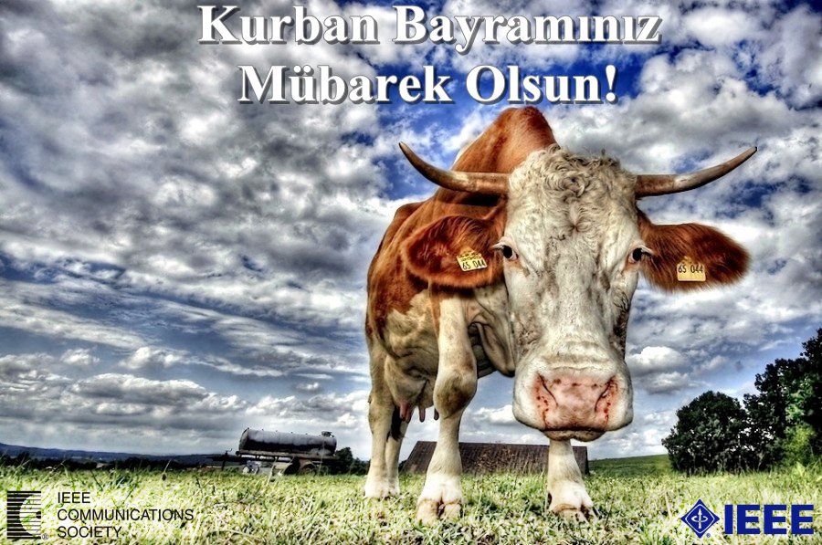 IEEEDumlupınarComsoc (@ieeedpucomsoc) on Twitter photo 