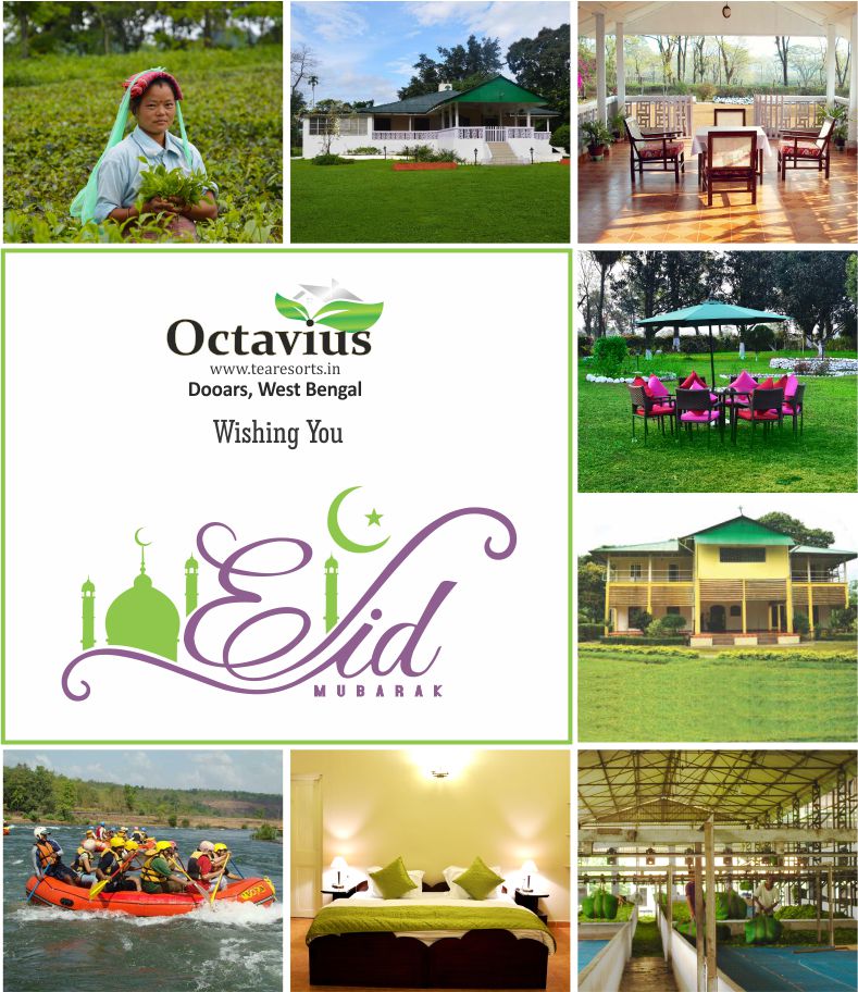 tearesorts's tweet photo. Octavius Tea Resorts Team Wishes You a Happy Eid al- Adha https://t.co/bxTZiVXuG0