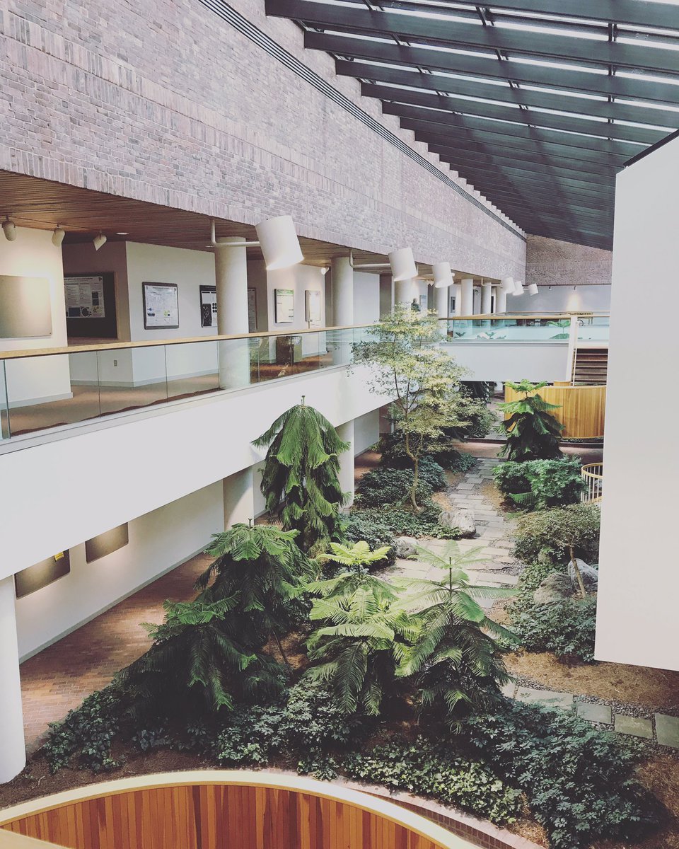 mwmathislab's tweet image. The lab opens today! Now time to build the magic. 🐁👩🏼‍🔬 #blankslate #newPI #systemsneuroscience #womeninSTEM