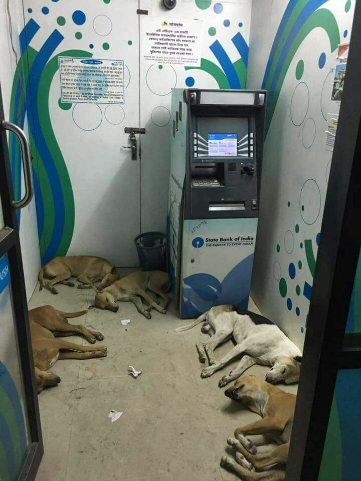 50 aur 200 ke naye note jaari hone ke baad ATM ki security tight