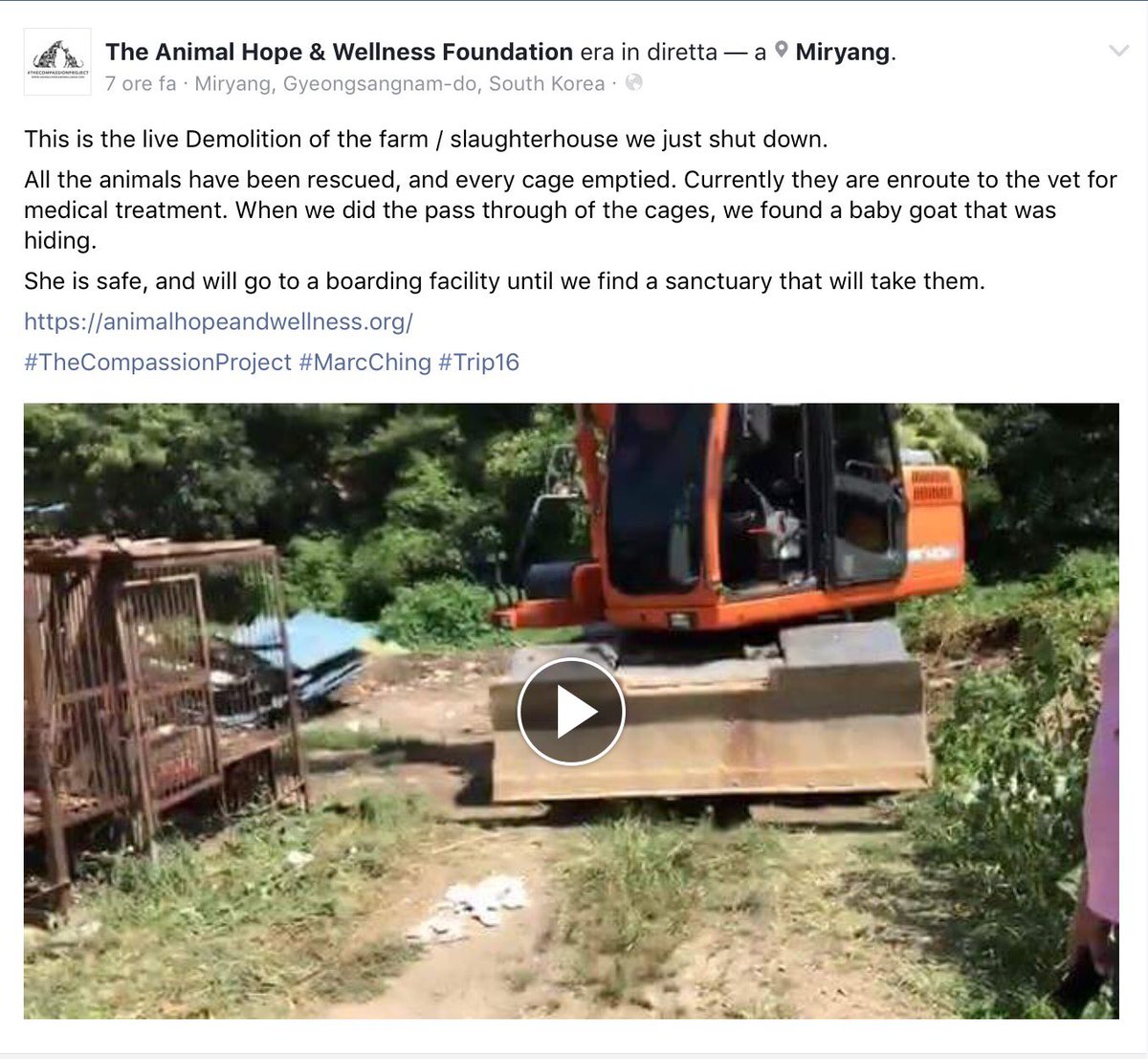 GretaAstpc's tweet photo. #Trip16 💥live💥UPDATE #Busan #SouthKorea
see #MarcChing himself destroying the slaughterhouse
All #Dogs 🐶saved 🐾🙏
👉https://t.co/xH3LsD6hbC https://t.co/sURbSSQUhd