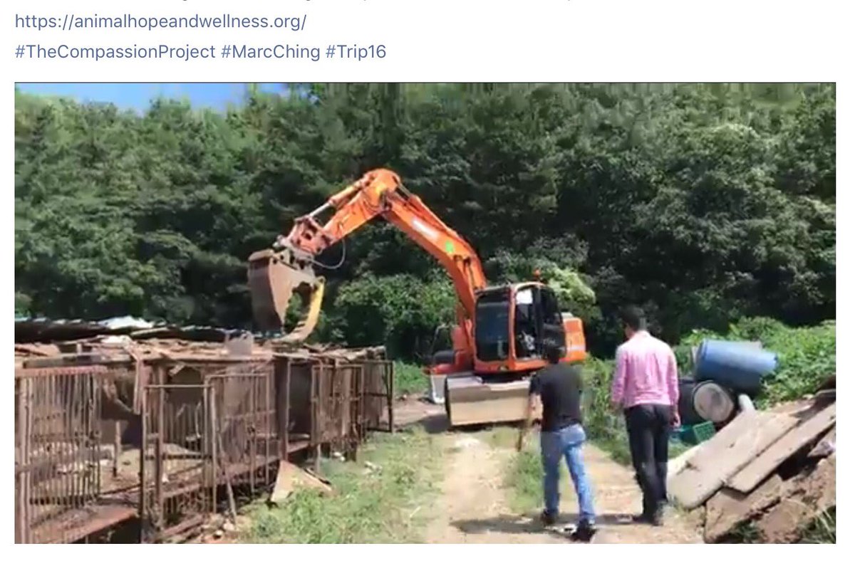 GretaAstpc's tweet photo. #Trip16 💥live💥UPDATE #Busan #SouthKorea
see #MarcChing himself destroying the slaughterhouse
All #Dogs 🐶saved 🐾🙏
👉https://t.co/xH3LsD6hbC https://t.co/sURbSSQUhd