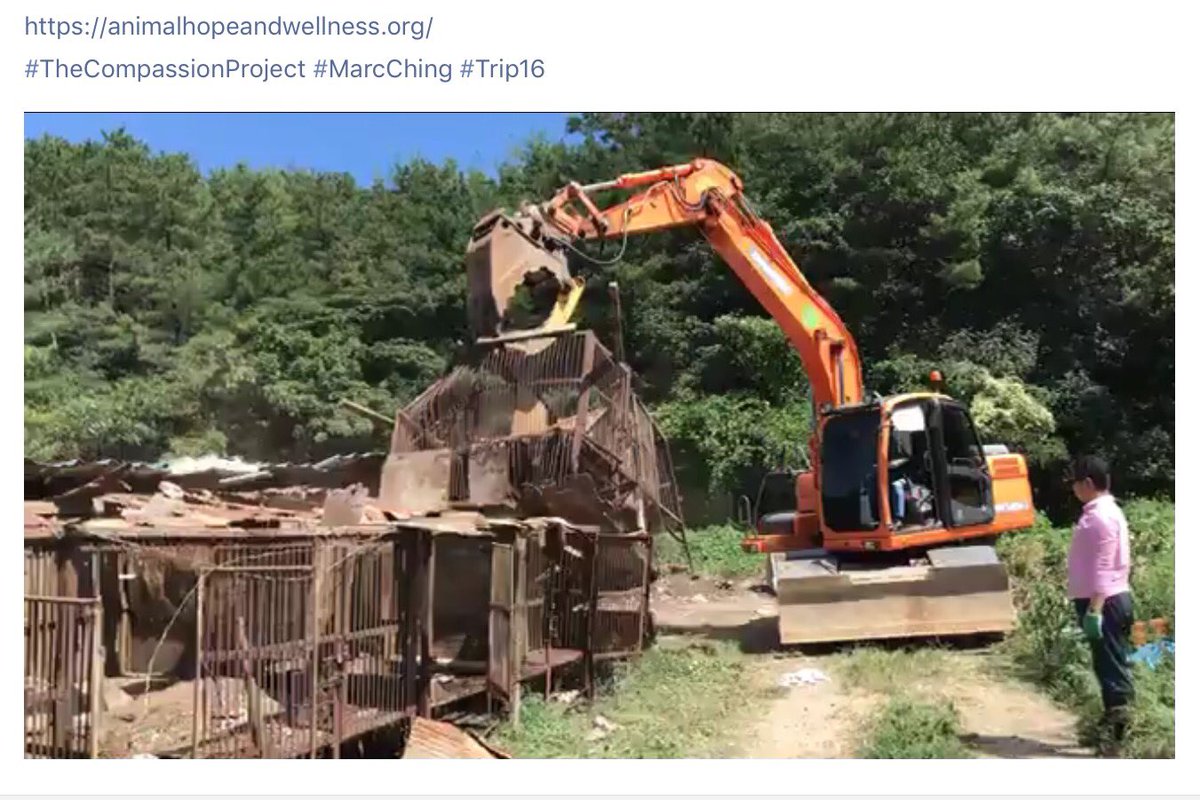 GretaAstpc's tweet photo. #Trip16 💥live💥UPDATE #Busan #SouthKorea
see #MarcChing himself destroying the slaughterhouse
All #Dogs 🐶saved 🐾🙏
👉https://t.co/xH3LsD6hbC https://t.co/sURbSSQUhd