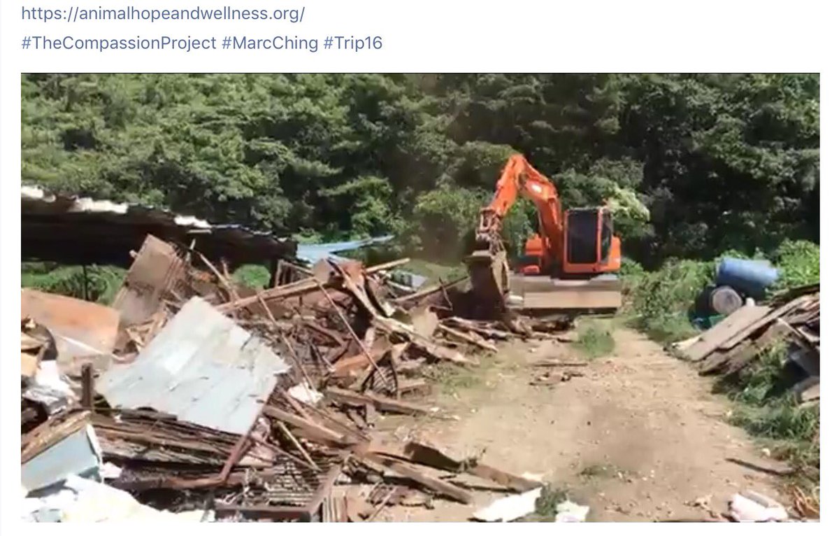 GretaAstpc's tweet photo. #Trip16 💥live💥UPDATE #Busan #SouthKorea
see #MarcChing himself destroying the slaughterhouse
All #Dogs 🐶saved 🐾🙏
👉https://t.co/xH3LsD6hbC https://t.co/sURbSSQUhd