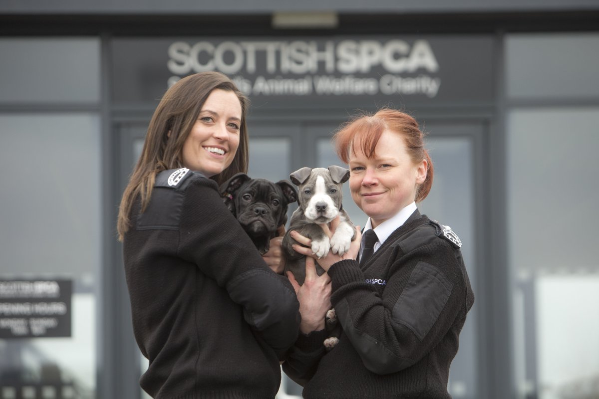 ScottishSPCA's tweet photo. We're hosting open days throughout Scotland on Sunday!There's lots of exciting events on throughout the day. More: https://t.co/6V7CGgvwtz https://t.co/04GFWs8yZi