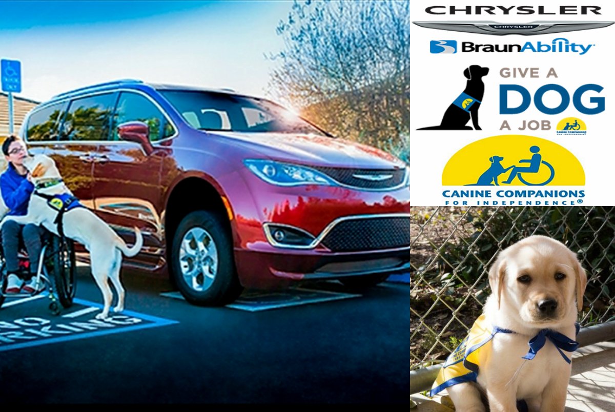 AVRadio's tweet photo. We're proud to support @Chrysler & Canine Companions @ccicanine #GiveADogAJob Campaign❤️
https://t.co/ccTMAEupBV
#RaisingFoley #FoleyFriday https://t.co/f7TPvBFjB0