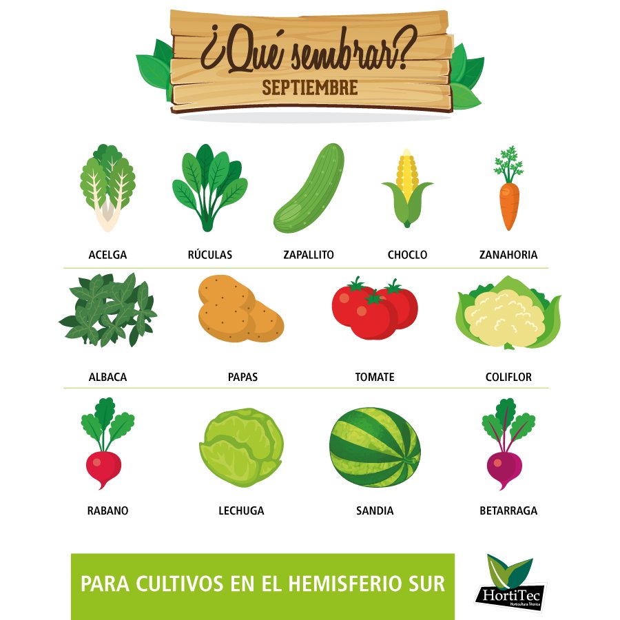 Hortitec_Chile's tweet photo. Para la huerta en Septiembre. #Septiembre #Huerto #Cultivo https://t.co/s4TS4vKPwu