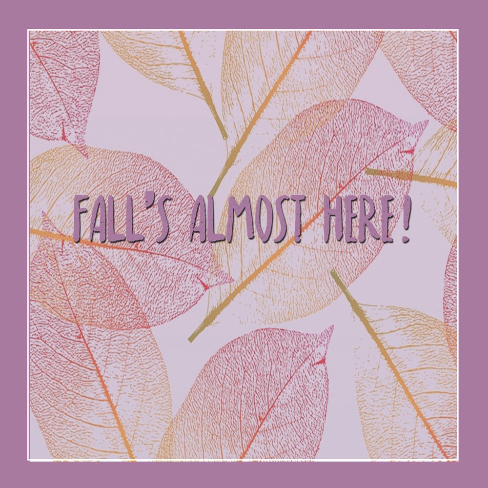 plussizeprob's tweet photo. Happy Almost Fall! What Fall Fashion trends are you dying to get into this season? #bringonthelayers #plussize #plussizefashion🍂🍂🍂🍂🍂🍂 https://t.co/FfLzDdbW73