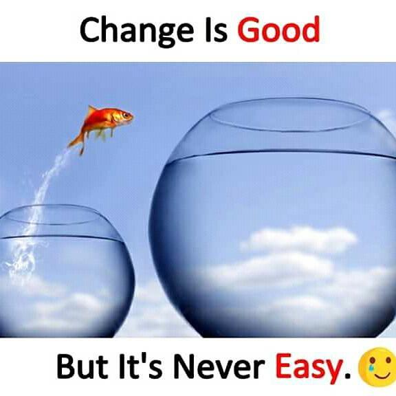 alphabjay's tweet image. Life is fully loaded with challenge's