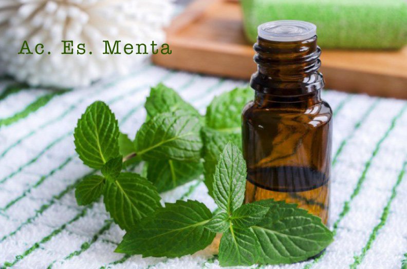 NaturalBenefits's tweet photo. #AcEsMenta para usarlo en tu difusor y dejar una sensación revitalizante en tu ambiente Conócelo!! https://t.co/JUG1YJU3K2