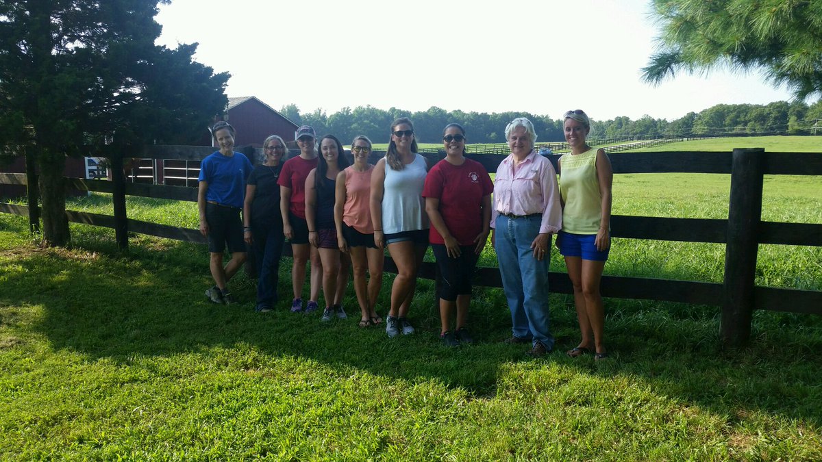 HyblaK's tweet photo. Kindergarten started off the year with some team bonding at Meadowood Stables. We also celebrated our fabulous ESOL teacher's birthday!! https://t.co/LVC4FoAWGn