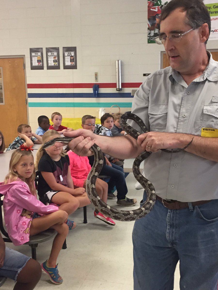 acummingsedu's tweet photo. JES Ss met a sssspecial guest today. Thank you, Floyd County ECO Center for helping us learn more about nature friends. @JohnsonWildcats https://t.co/bZXZSQHvxX
