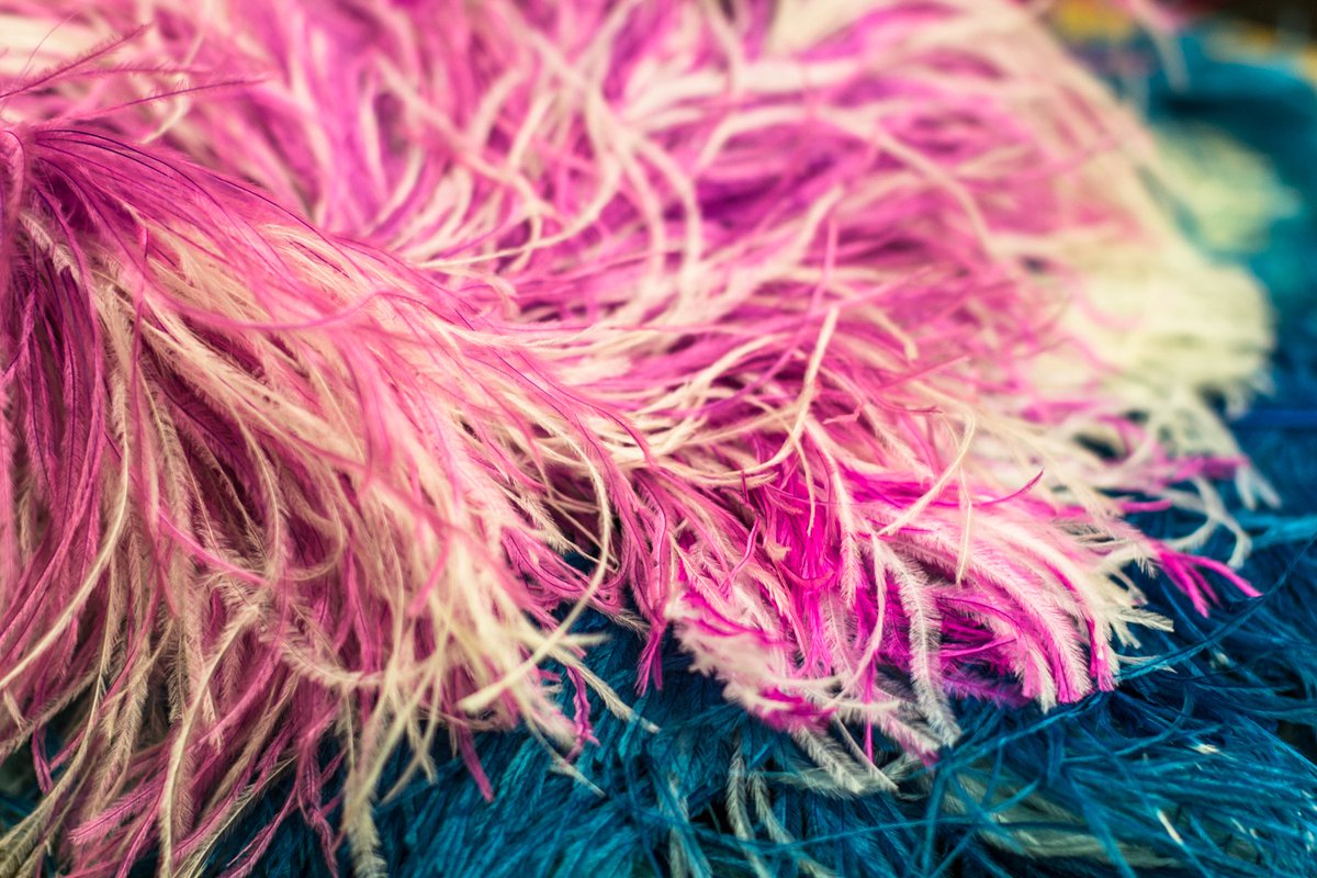 PigsMusical's tweet photo. We’re tickled pink because it’s just 5 weeks until our 1st preview! #FabricFriday #PigsMusical🐷 https://t.co/wnPhVvOmkP
