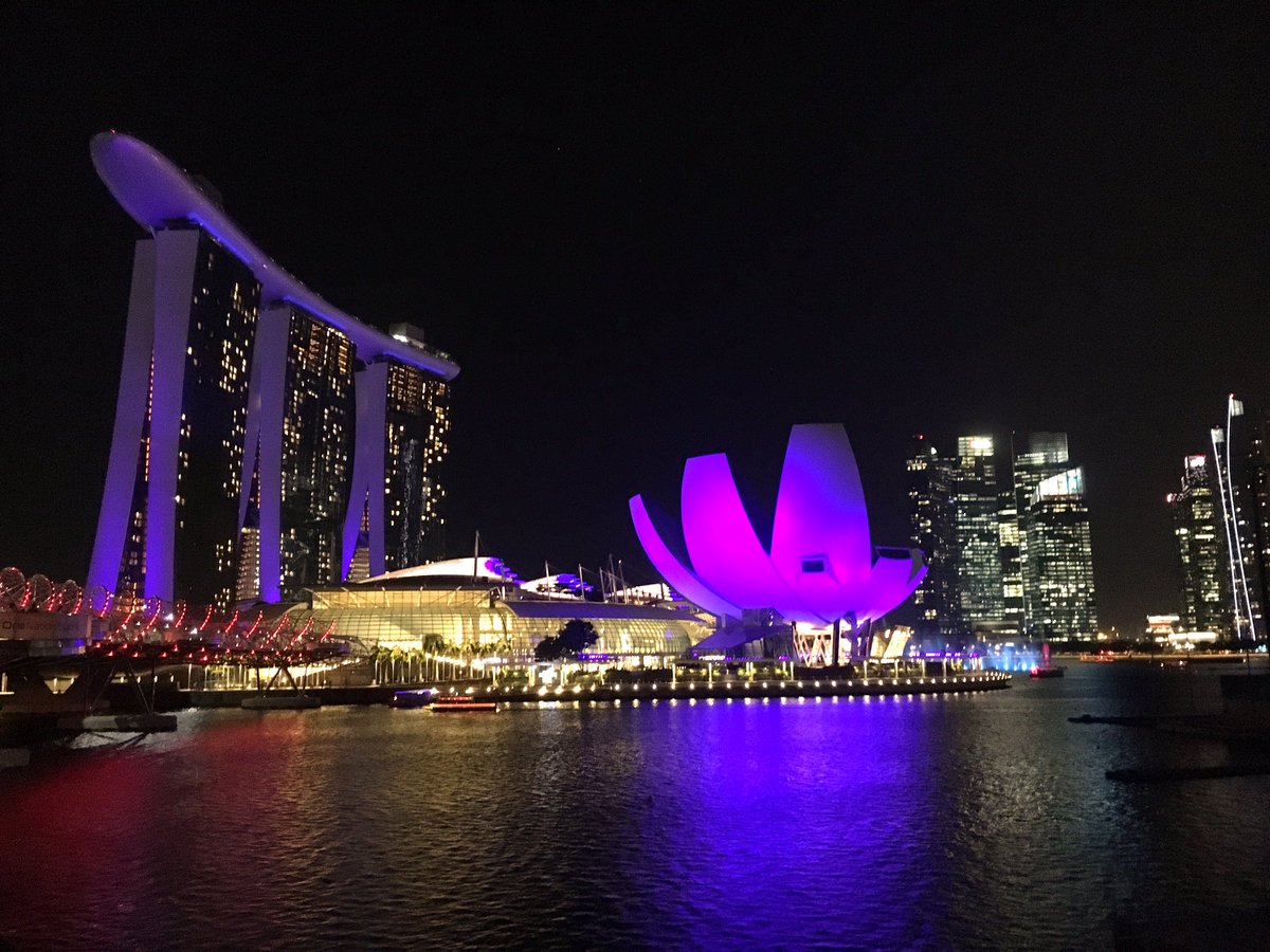 Guia Sciortino tweet media