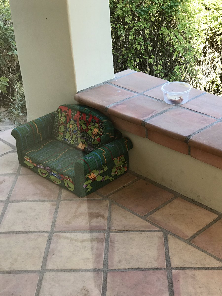 shanedawson's tweet photo. i'm doing everything all the websites say. i even put his couch outside
:( thanks for helping guys. any more tips would be appreciated ❤️ https://t.co/bmiS0n6HQ4