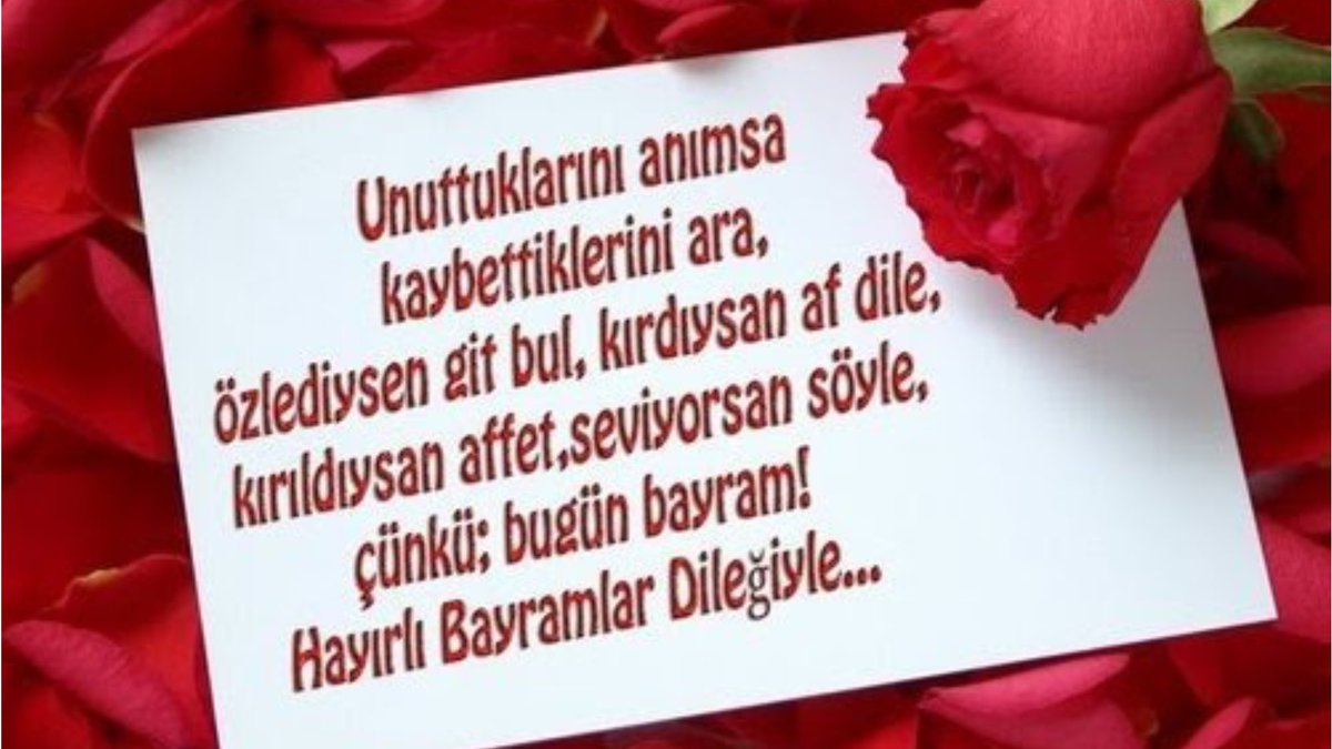 Şirin Akgül (@sirinakgull) on Twitter photo 