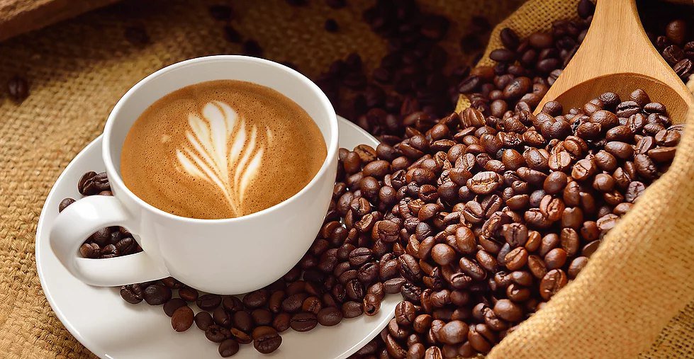 codigos_libres's tweet photo. ¿Nos tomamos un café? Si quieres realizar un Tour por los espacios productivos de las Cafeterías Árbol POSTULATE https://t.co/83w0J6pret https://t.co/1CwBkJIJ1k