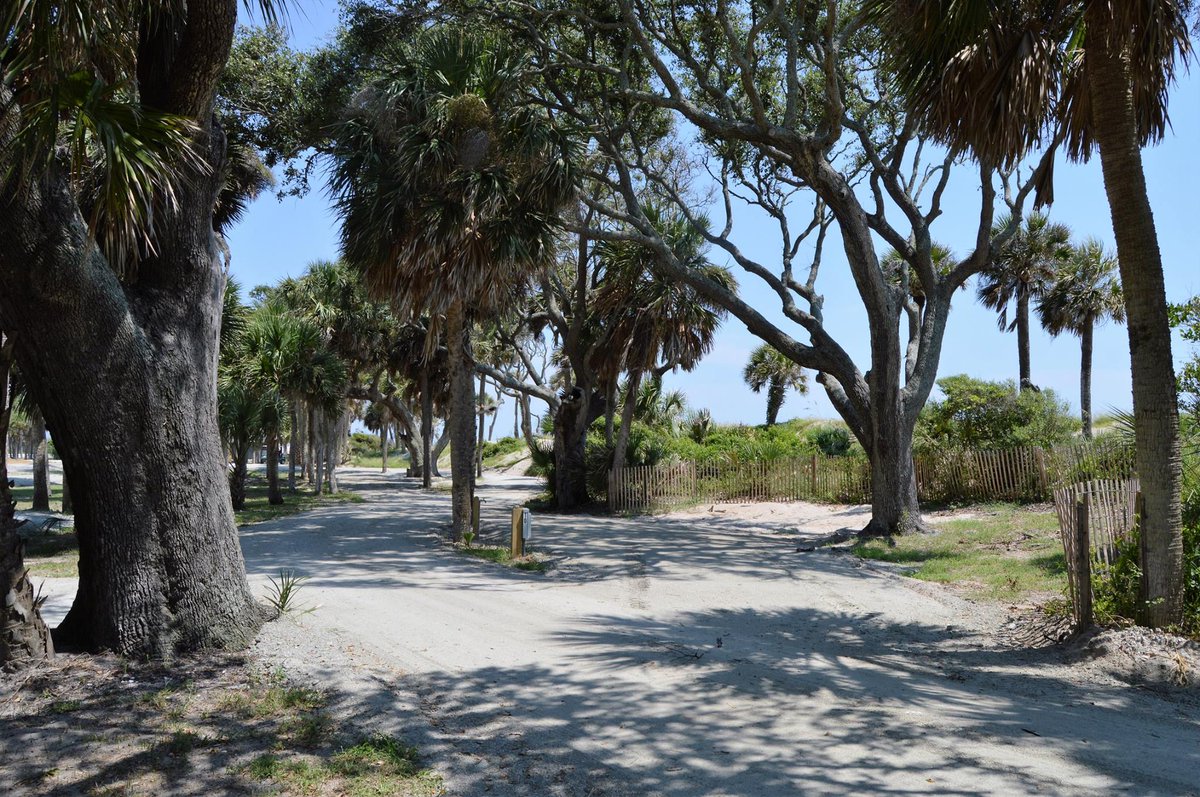 Edisto Beach tweet media