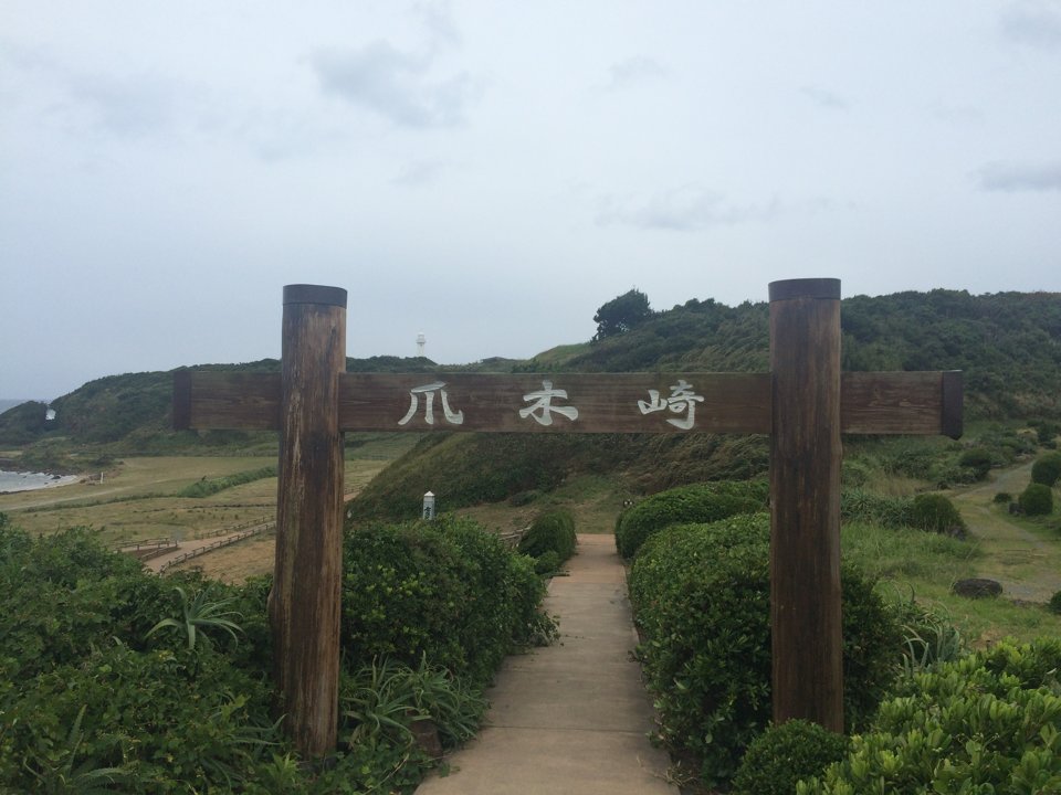 ひさかき tweet media