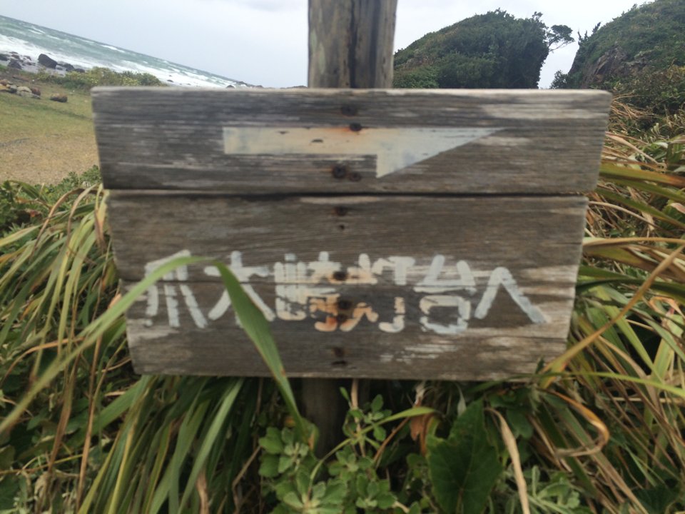 ひさかき tweet media