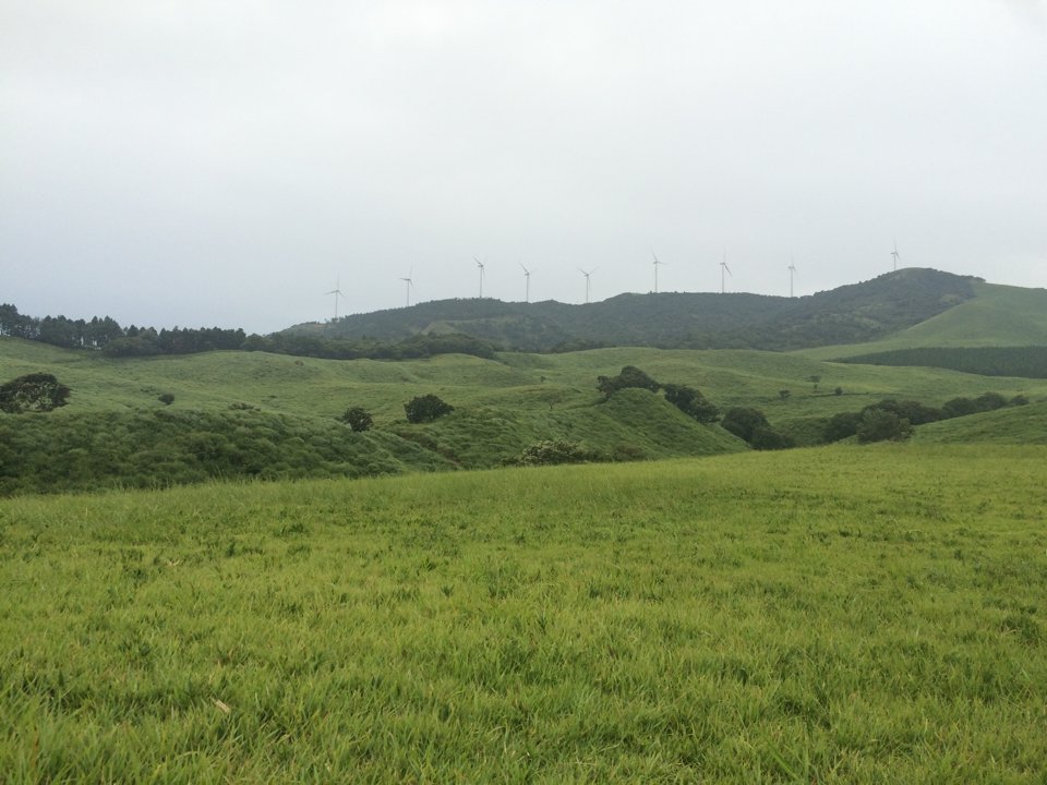 ひさかき tweet media