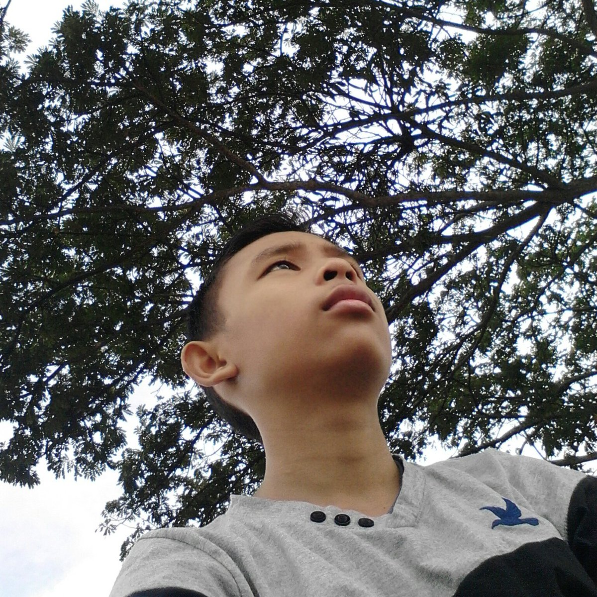 wanaiman_ismail's tweet photo. #NewProfilePic https://t.co/FoyspESGTK