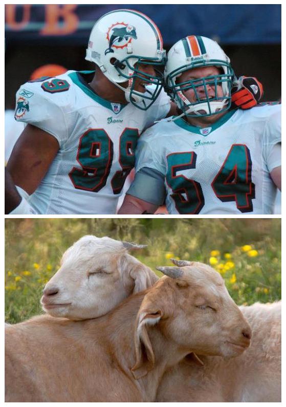 Happy Birthday to Jason Taylor and Zach Thomas.  