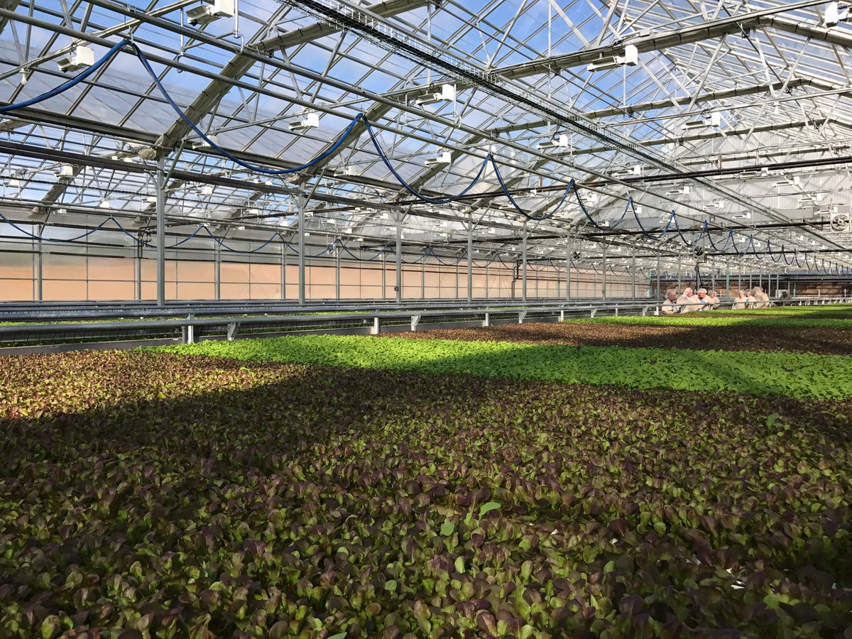 SonnyPerdue's tweet photo. The Lēf Hydroponic Farm in Loudon, NH is a fascinating place. Microgreens grown in special "gutters." This is innovation. #BackToOurRoots https://t.co/1zarYwTd7e