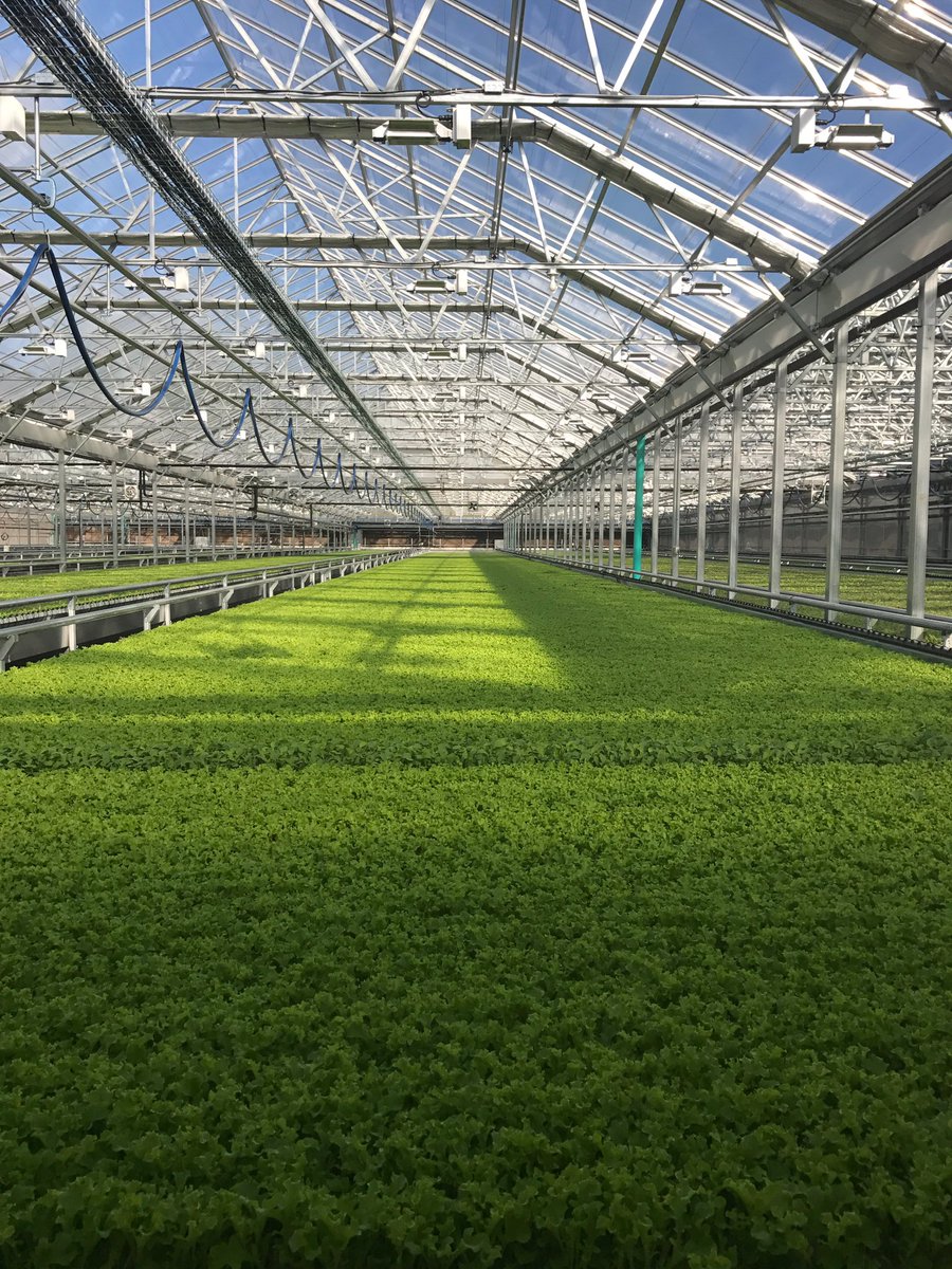 SonnyPerdue's tweet photo. The Lēf Hydroponic Farm in Loudon, NH is a fascinating place. Microgreens grown in special "gutters." This is innovation. #BackToOurRoots https://t.co/1zarYwTd7e
