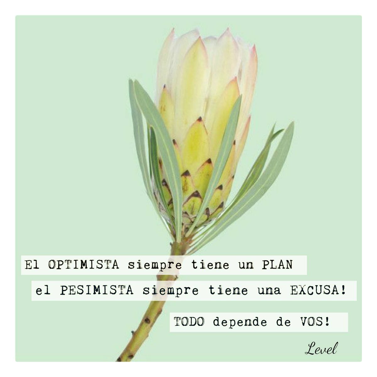 centrolevel's tweet image. centrolevel.com.ar    
consultas@centrolevel.com.ar
1140346375 #centrolevel #salud #Bienestar #Belleza #BsAs #Buenfinde #LevelTips