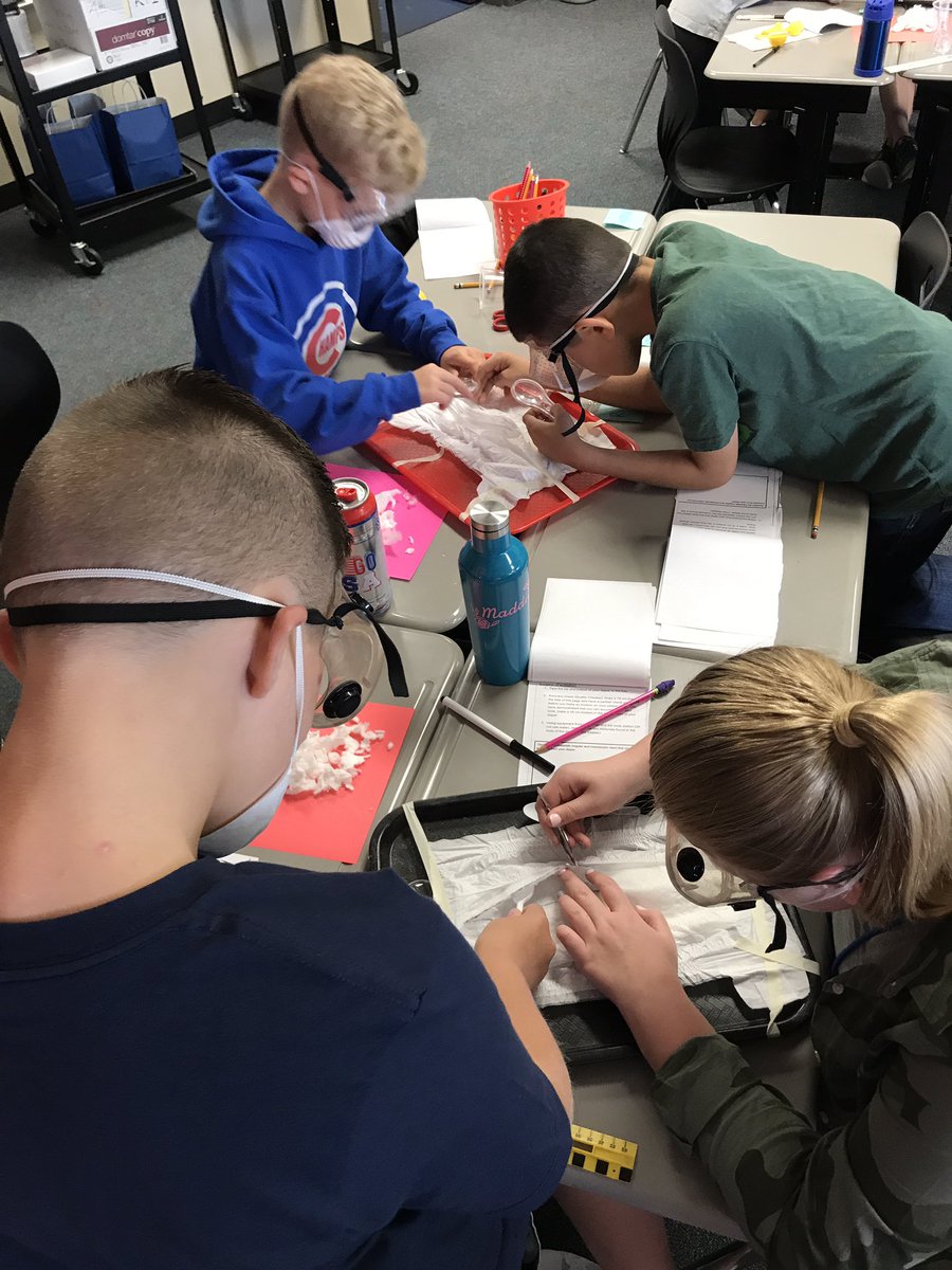 FlipFlopTeacher's tweet photo. #5thgradescience @5thgraderangers #diaperdissection #whattoolsdidyouuse @tkmotley https://t.co/WmMeu4QltO