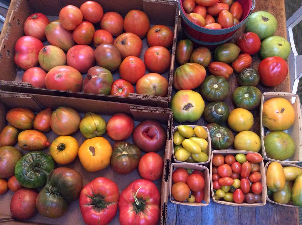 Fall's around the corner! Find out what's in season.

ow.ly/USZw30eQjsF