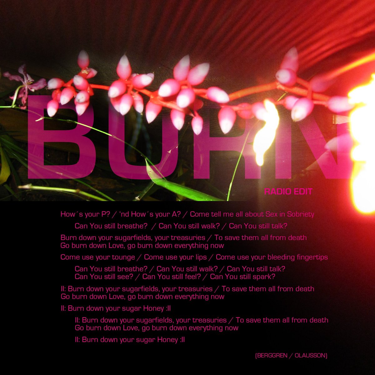 KnutBerggren's tweet image. ♠️Burn(Radio Edit)♠️
 #soundtradestudios #knutmusic #stockholm #sweden

Burn(Radio Edit):
youtu.be/ZoY3PI0qjzw

knutmusic.com