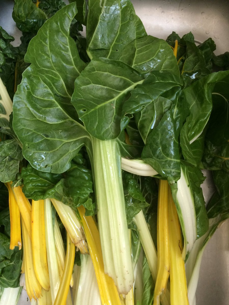 mhealthpartners's tweet image. Cooking wonderful healthy September Community Feast thanks to @AgeUKLS for funding and to @Glengall_Garden for delicious veg