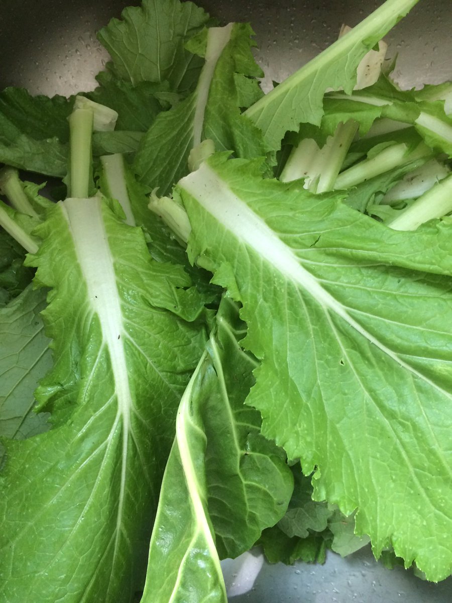 mhealthpartners's tweet image. Cooking wonderful healthy September Community Feast thanks to @AgeUKLS for funding and to @Glengall_Garden for delicious veg
