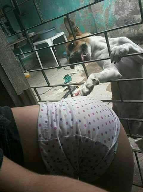 AhNegao's tweet photo. chego na internet assim https://t.co/26X9zrntjR