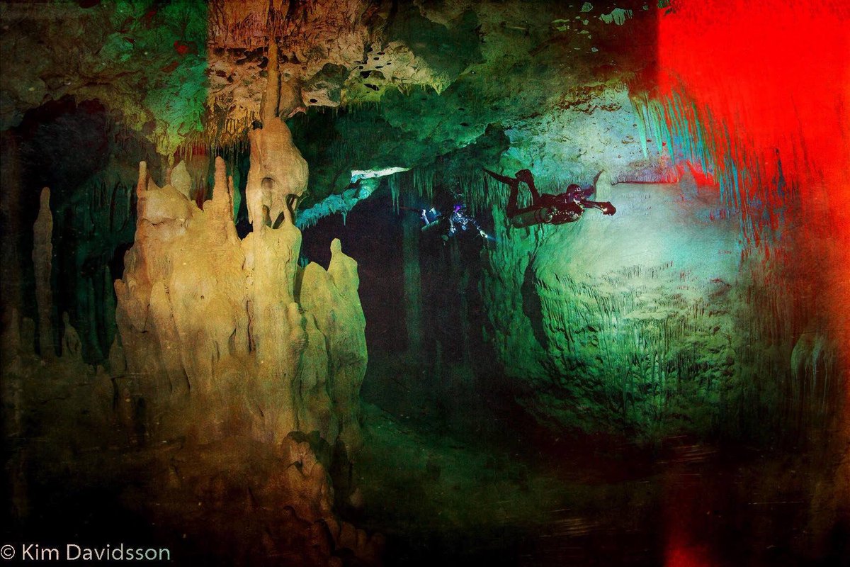 goproasia's tweet photo. Dived with this guy yesterday. Photo shoot with the owner of ProTec #dive centre in Tulum. #cavediving #fullcave #buildingbetterdivers https://t.co/fXAM01Q9Sw